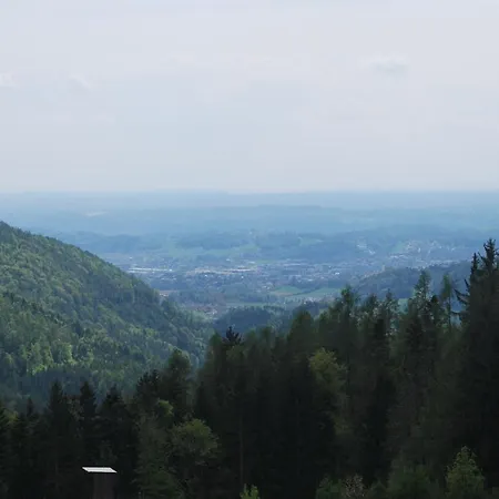 Ferienhuette Zetzhirsch Apartament