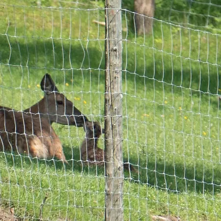 아파트 Ferienhuette Zetzhirsch *
